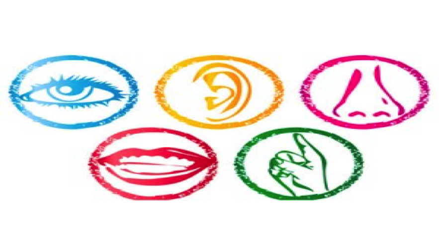 EL ARTE DE FOMENTAR LA AUTONOMÍA Y LA ESTIMULACIÓN MULTISENSORIAL EN INFANTIL 0-6